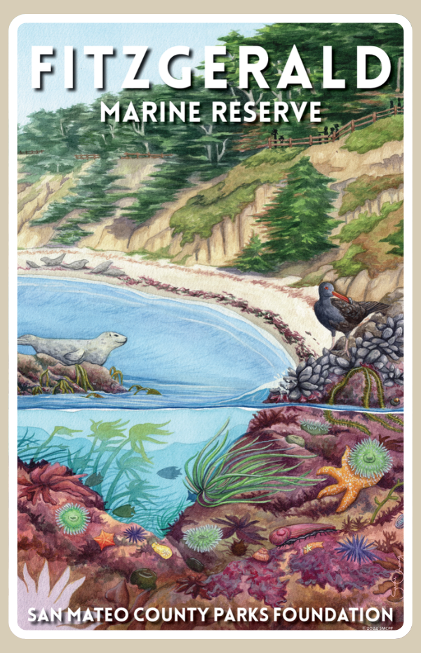 Fitzgerald Marine Reserve Sticker