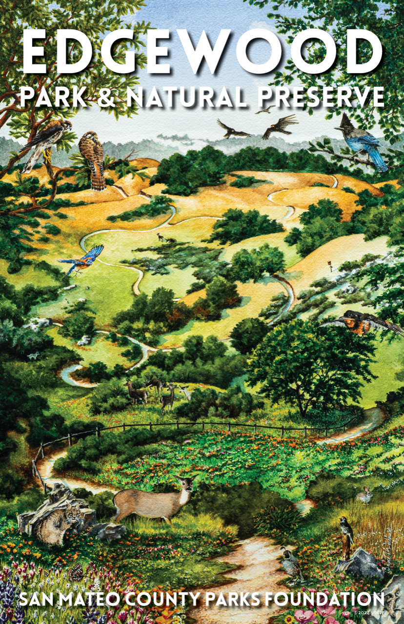 Edgewood Park & Natural Preserve Poster