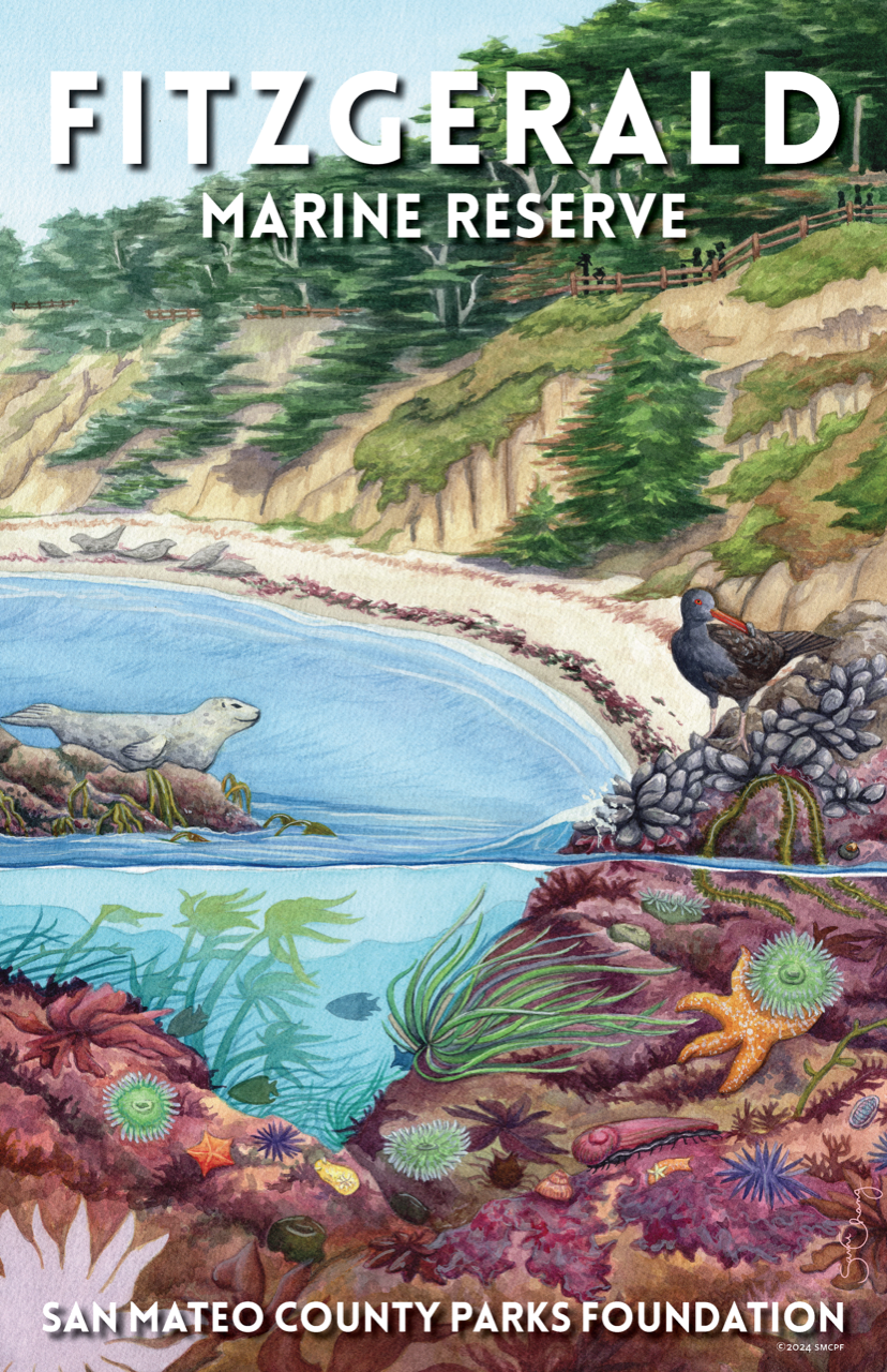 Fitzgerald Marine Reserve Poster