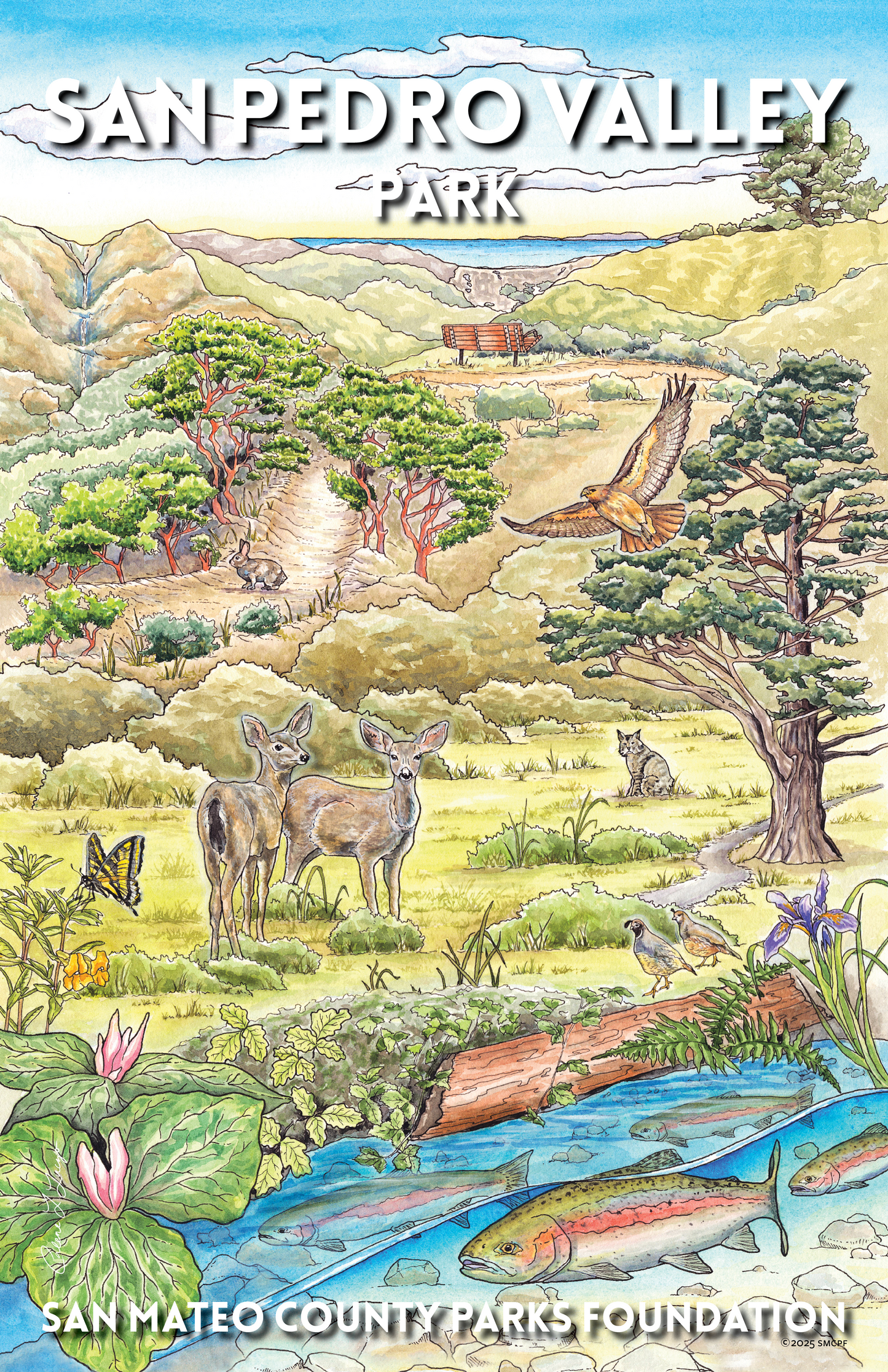 San Pedro Valley Park