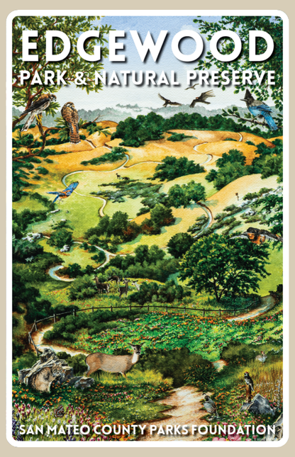 Edgewood Park Sticker