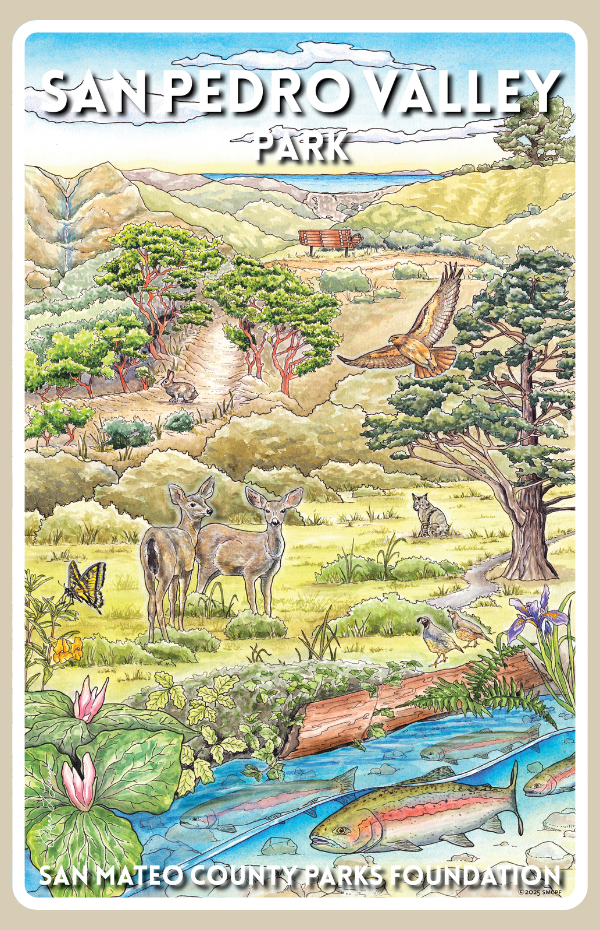 San Pedro Valley Park Sticker