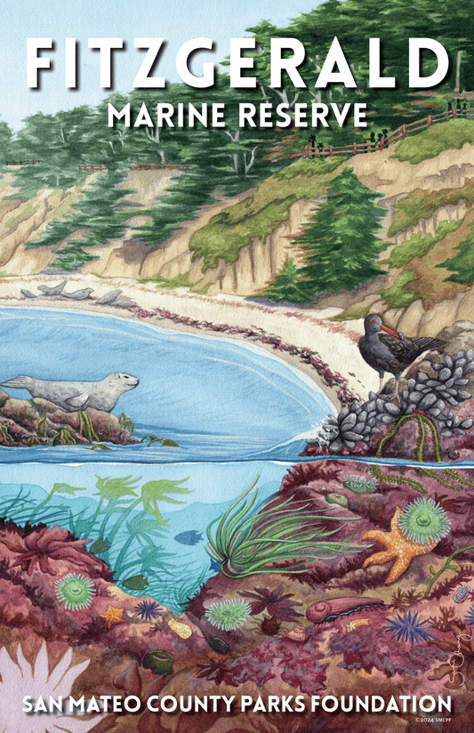 Fitzgerald Marine Reserve Poster