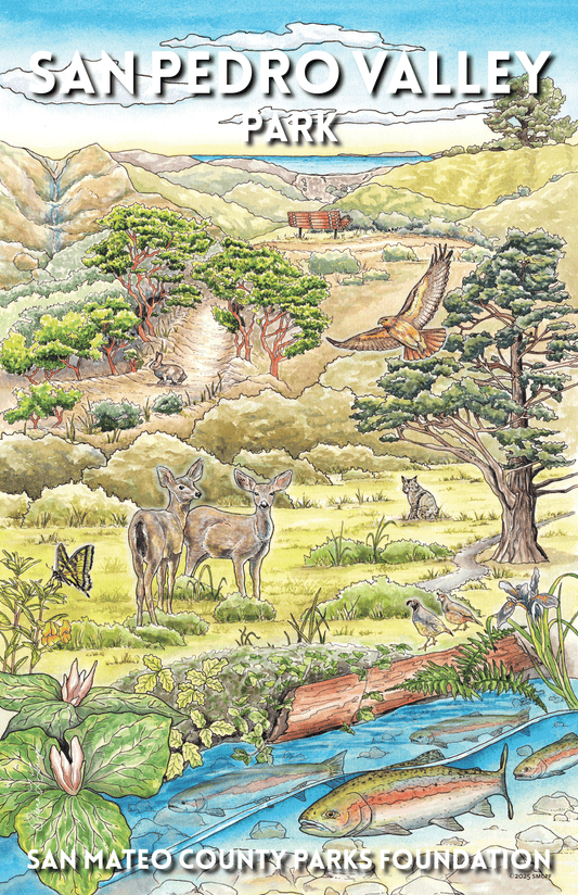 San Pedro Valley Park