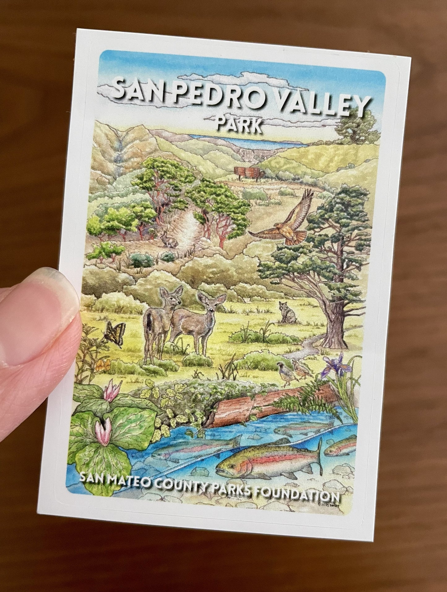 San Pedro Valley Park Sticker